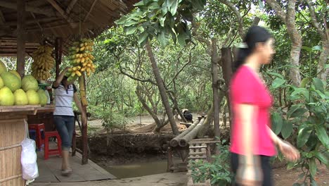 Mädchen-Im-Mekong-Delta