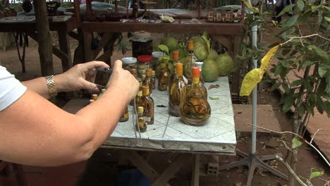 Tourist-photographing-snake-wine