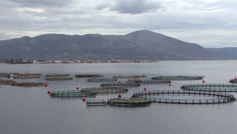 Piscifactoría-En-Mytikas-En-El-Mar-Jónico