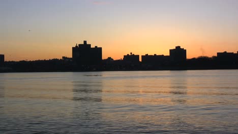 Amanecer-Del-Bronx