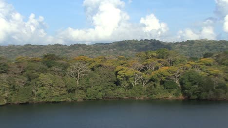 Panamakanal-Regenwald-Entlang-Des-Lake-Gatun