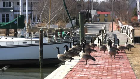 St.-Michaels-Maritime-Park