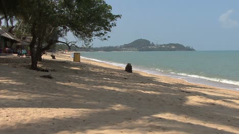 Thailand-Kho-Samui-beach