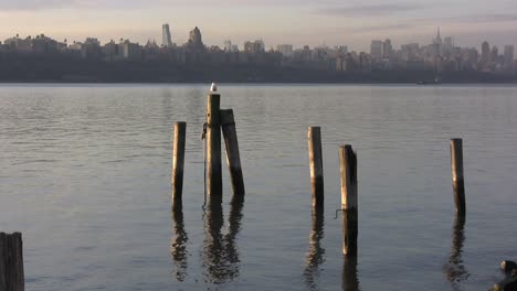 Vista-Hacia-Los-Rascacielos-En-La-Ciudad-De-Nueva-York