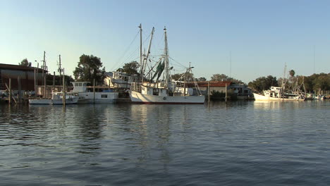 Tarpon-Springs-boats-&-bird-flies