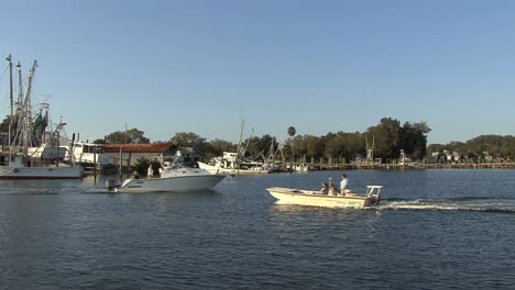 Boote-Mit-Tarponfedern