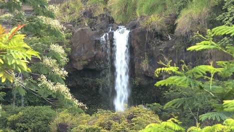 Hawaii-Pe&#39;epe&#39;e-Fällt-Und-Farne