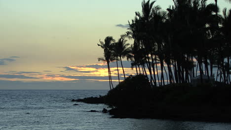 Hawaii-Kona-Küste-Palmen-Meer-Sonnenuntergang