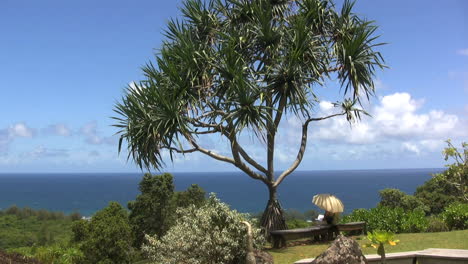 Hombre-Kauai-Bajo-Un-árbol-Pandanus-Junto-Al-Mar