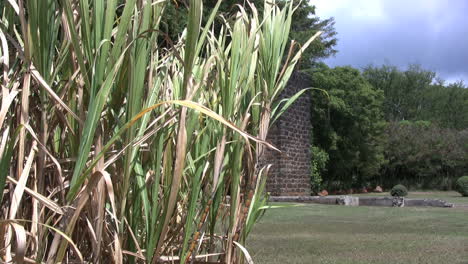 Zuckerrohr--Und-Mühlenruinen-In-Kauai