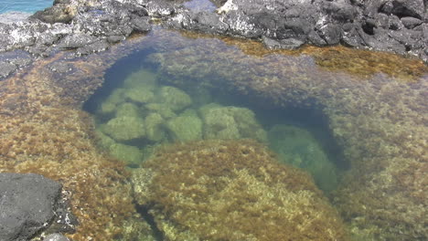 Gezeitenbecken-Mit-Felsen-In-Kauai