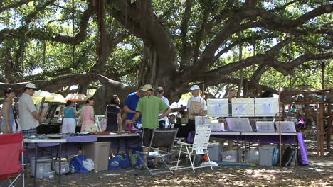 Maui-Lahaina-Markt-Unter-Einem-Banyonenbaum