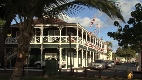 A-palm-frames-an-historic-building