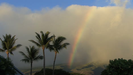 Arcoiris-De-Maui-Con-Palmas-Agitando-2