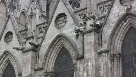 Ecuador-Quito-gargoyles