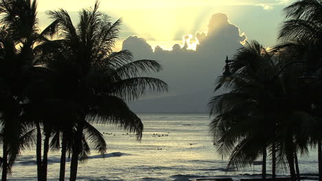 Waikiki-Sonnenuntergang-Blick-3