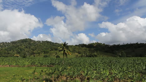 S-T.-Plantación-De-Plátanos-Lucia-Con-Nubes