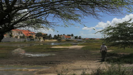 Escena-De-Aruba-Con-Tierras-Bajas-De-Marea