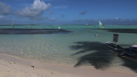 Playa-Bonaire-Con-Sombra-De-Palmeras