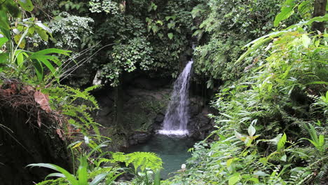 Cascada-Dominica-En-La-Piscina-Esmeralda