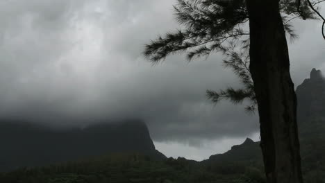 Moorea-Bewegte-Wolken-Und-Baum