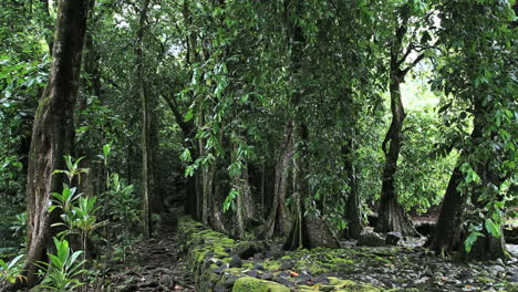 Moorea-Titiroa-Marae-wall-edge-&-trees