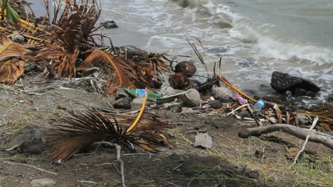 Basura-Por-La-Orilla-De-La-Isla-3