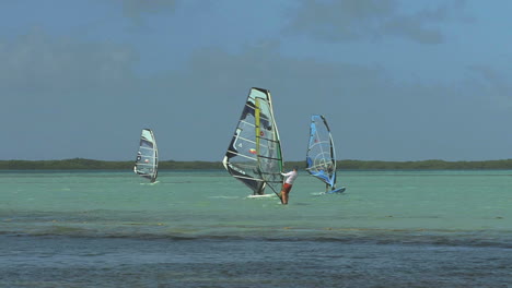 Bonaire-wind-surfers