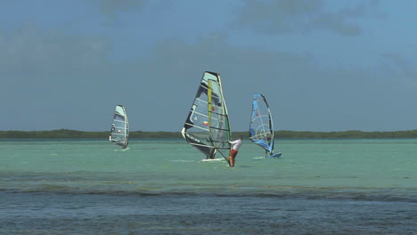 Bonaire-Windsurfer