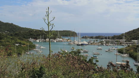 Antigua-Nelsons-Werft-Mit-Yucca