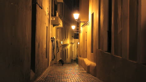 Callejón-De-La-Noche-De-San-Juan