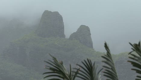 Montaña-Brumosa-De-Moorea-Con-Pájaro