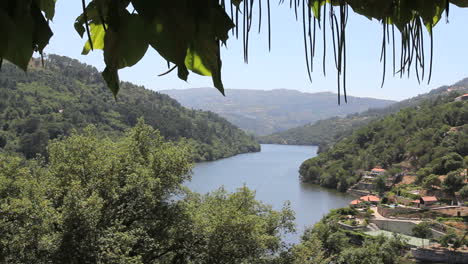 Douro-Flussblick-In-Blättern-Gerahmt