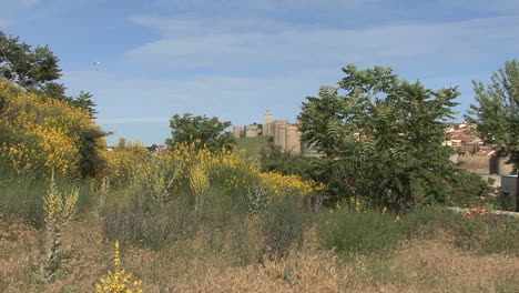 Avila-Spanien-Wände-Und-Gelbe-Blumen-Entfernt