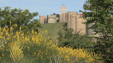 Avila-Spanien-Wände-Und-Gelbe-Blumen