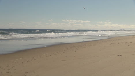 Salisbury-Beach-Ma-Möwen-Fliegen