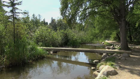 Minnesota-Itasca-Mississippi-River-log