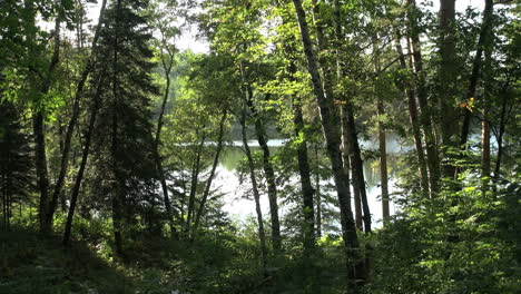 Lago-Itasca-De-Minnesota