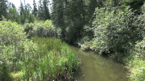 Minnesota-Mississippi-River-headwaters