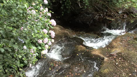 Spain-Galicia-mill-stream