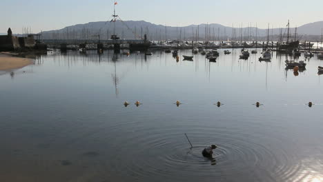 Spanien-Galizien-Baiona-Hafen-Sammeln-Meeresfrüchte