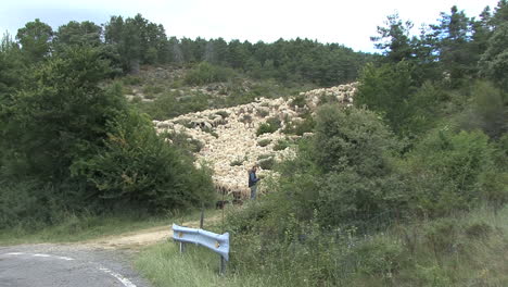 España-Pirineos-Pastor-De-Ovejas-Se-Aleja