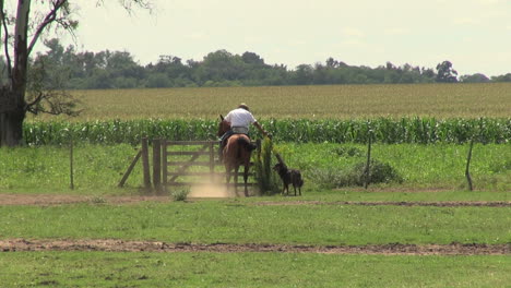 Argentina-Estancia-gaucho-rides-horse-through-gate