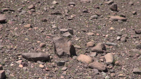 Piso-Del-Desierto-De-Atacama