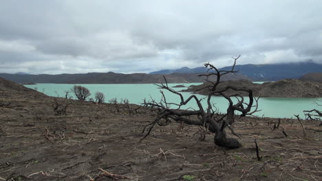 Torres-Del-Paine-Verbrannter-Bereich-S4