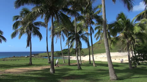 Isla-De-Pascua-Anakena-Sombra-Palmeral-Paseo-2b