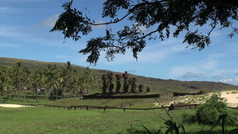 Osterinsel-Anakena-Ast-Moai-Und-Palmen-11
