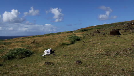 Isla-De-Pascua,-Vinapu,-Hombre,-Con,-Rarezas