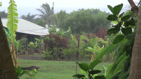 Easter-Island-rain-falling-on-slanted-roof-3