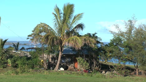 Osterinselhaus-Mit-Palme-Und-Roter-Tür